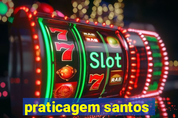 praticagem santos